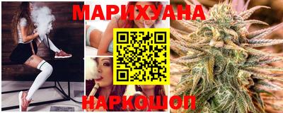 гидра Заводоуковск