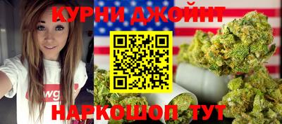 гидра Заводоуковск