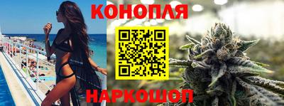 гидра Заводоуковск