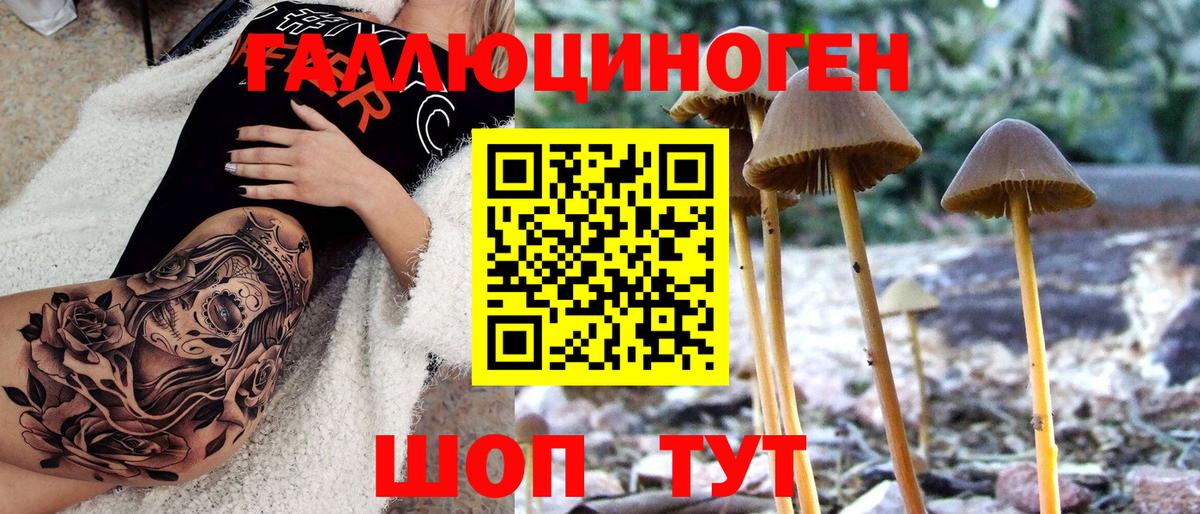 Зеленогорск  Галлюциногенные грибы GOLDEN TEACHER  Вход с VPN  Псилоцибиновые грибы мицелий 